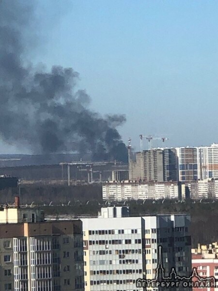 В Парголово горят дачные домики на ул. 1 мая. Спецслужбы уже на месте.