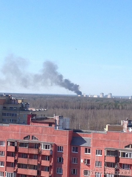 В Парголово горят дачные домики на ул. 1 мая. Спецслужбы уже на месте.