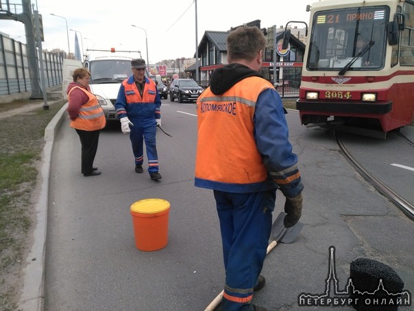 22 апреля сегодня в 14.30.на ул.Савушкина у "Бургер Кинга" угодил в дорожную яму.О трамвайный рельс ...