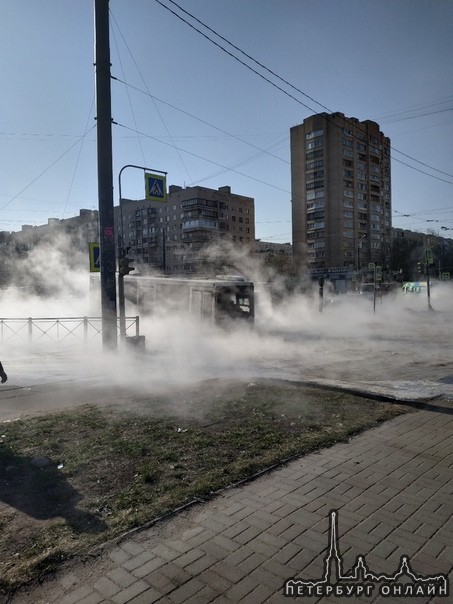 На перекрестке Димитрова и Будапештской , прорвало трубу с горячей водой.