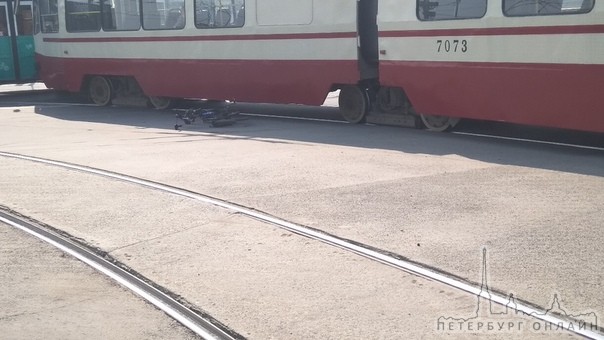 Трамвай и велосипедист дорогу не поделили, 65 трамваи стоят, у метро Площадь Александра Невского.
