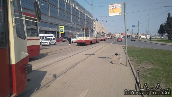 Трамвай и велосипедист дорогу не поделили, 65 трамваи стоят, у метро Площадь Александра Невского.