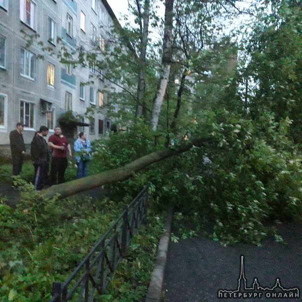 Будьте осторошны, в Невском р-не по ул. Кибальчича, ветер валит деревья, никто кроме а/м нп пострада...