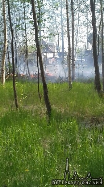 Возгорание в парке Сосновая поляна на ул. Летчика Пилютова.