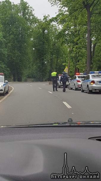 В Петровском пруду