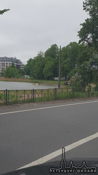 В Петровском пруду