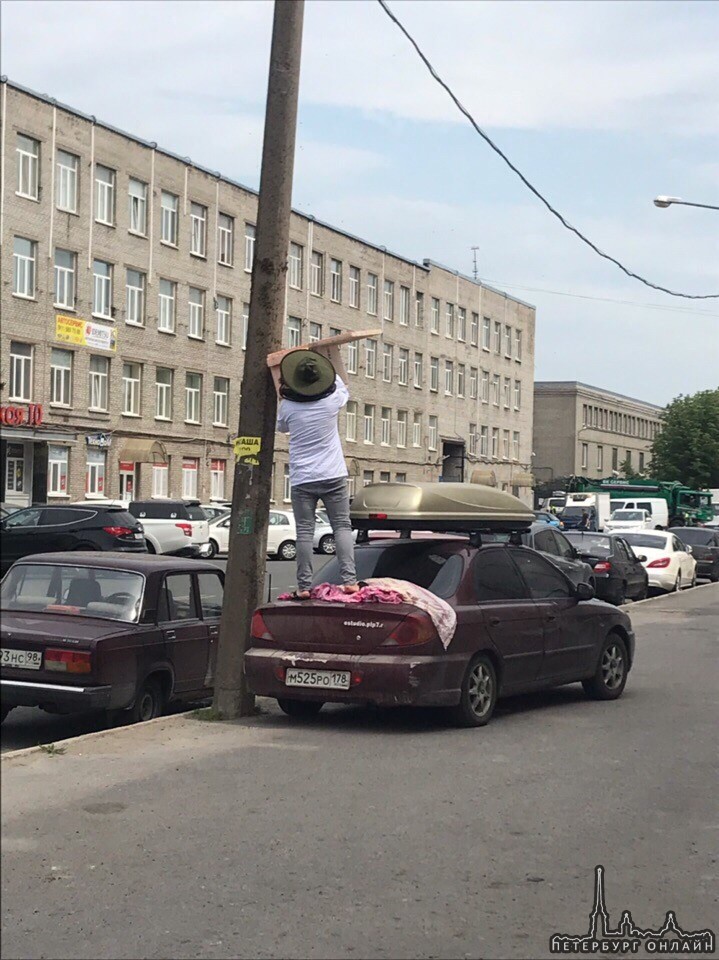 На Литовской 17 мужчина распустил пчёл из улья на столб.