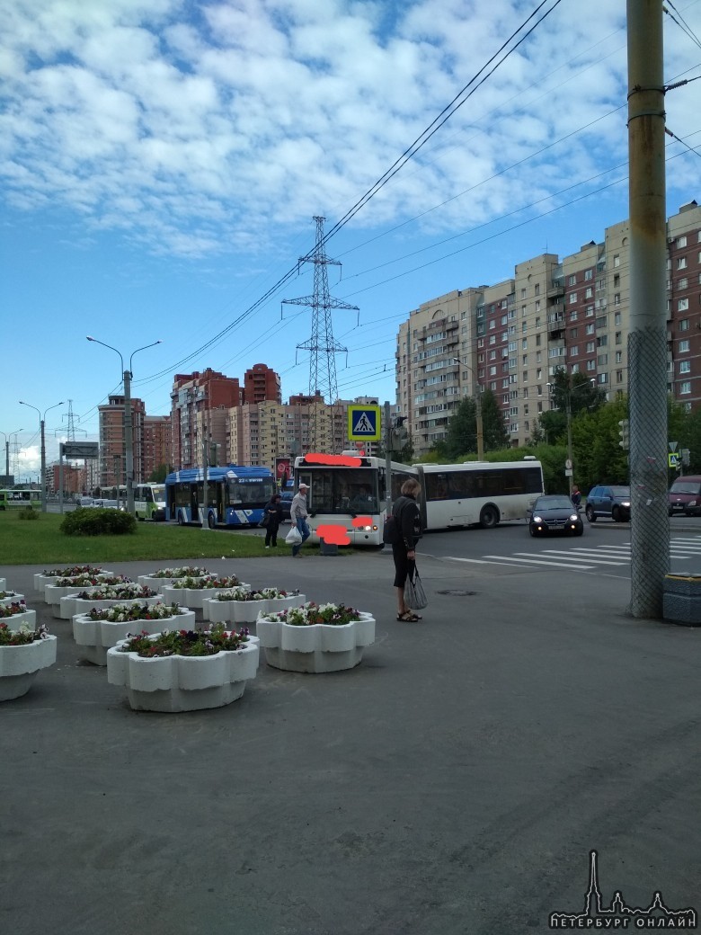 Гаккелевскую улицу на повороте с Камышовой час назад перегородил автобус. Маневры водителя автобус...
