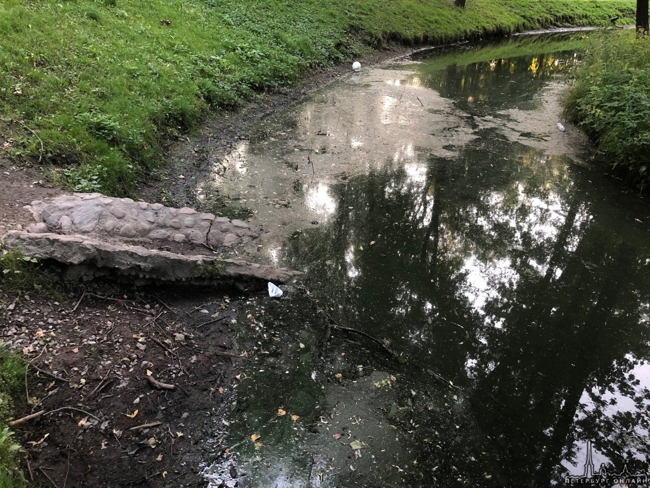 Активисты Центрального района сообщили об ужасающем состоянии прудов в Таврическом саду. В саду пре...