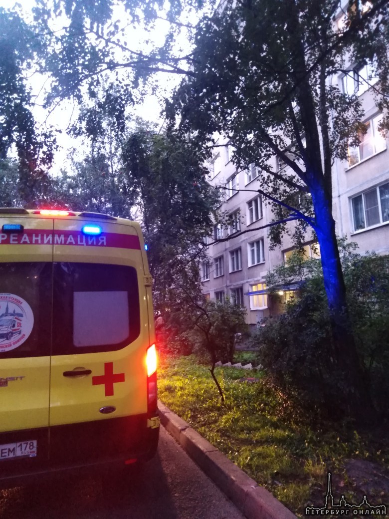Возгорание на Софийская дом 40к1 Приехало 3 пожарные машины, 1 реанимации и машина полиции