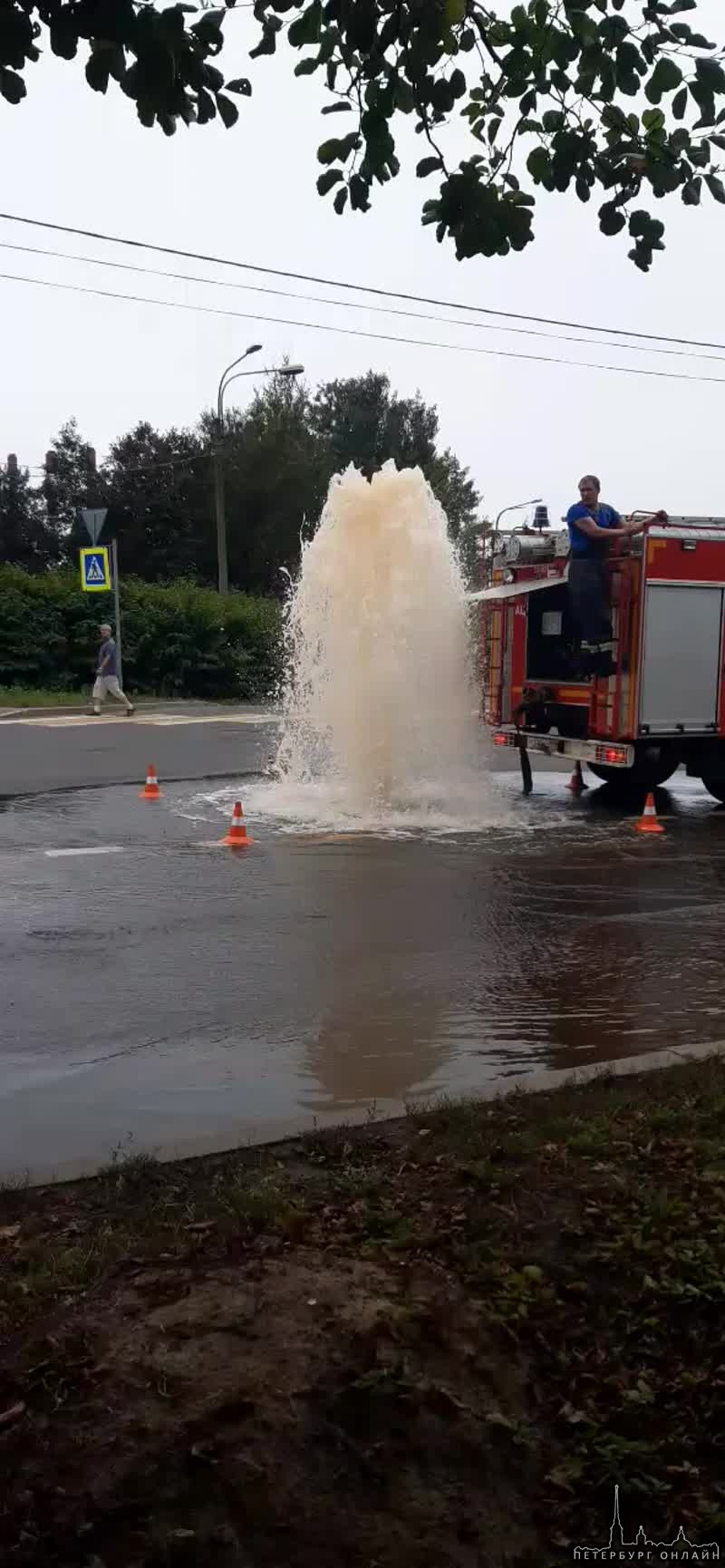 В Сестрорецке забил фонтан.