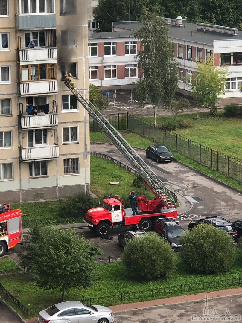 Пожар в городе Колпино на улице Красных Партизан, 14. Службы на месте.Мужчину спасли.