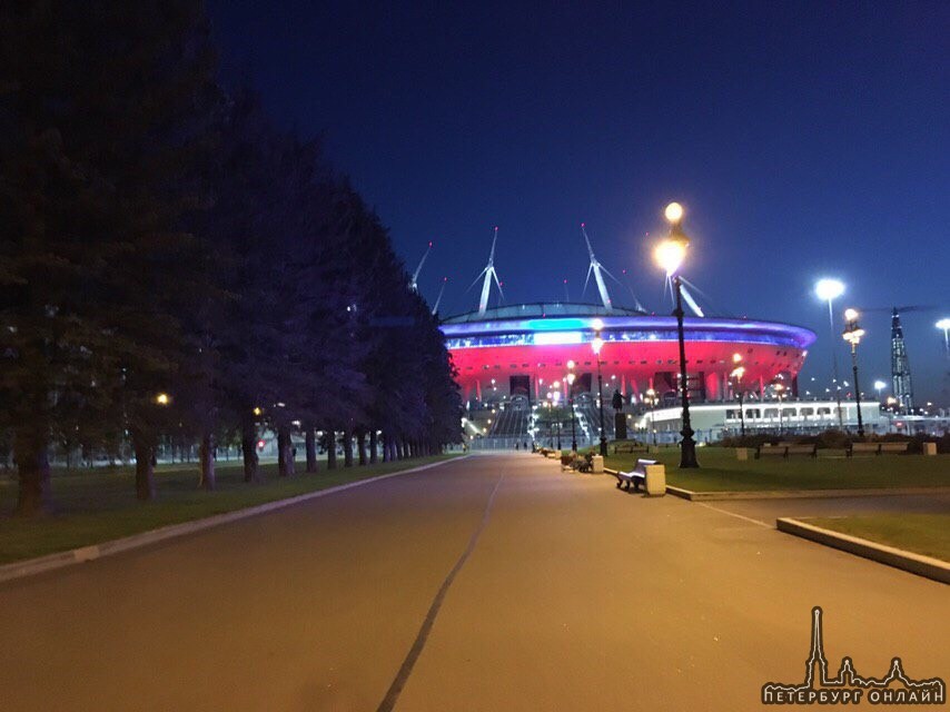 На Крестовском ели стали дровами