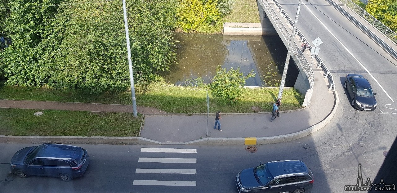 Авария на Углу Карельского переулка и набережной Черной речки, пешеходы не пострадали.