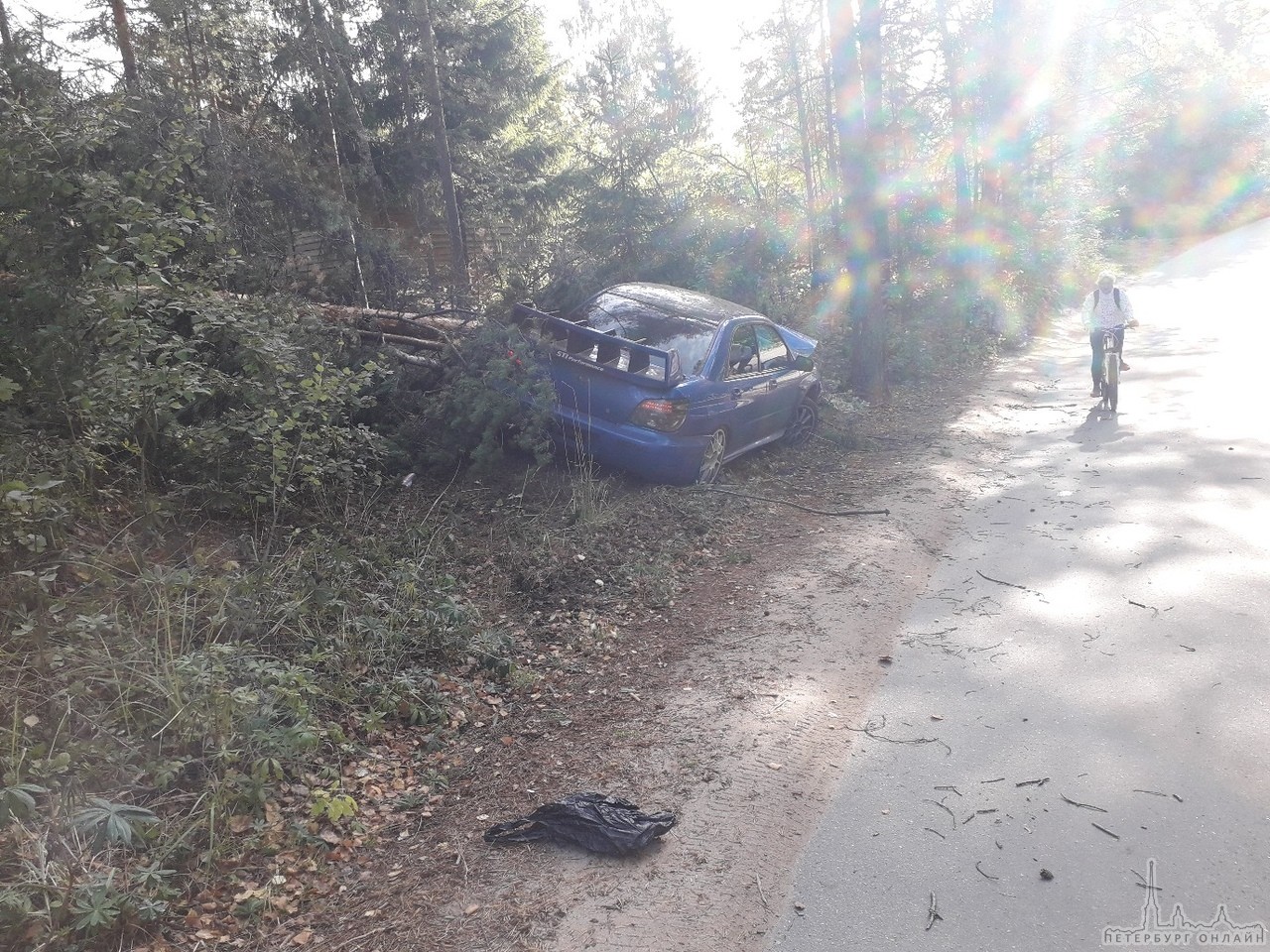 Subaru сошла с дистанции на спецучастке Орехово, сломав огромное дерево