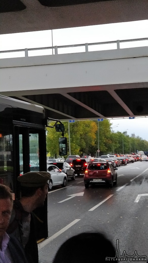 Пулковское шоссе в сторону города. На выделенной полосе автобус въехал в зад красной Renault Сандеро. Н...