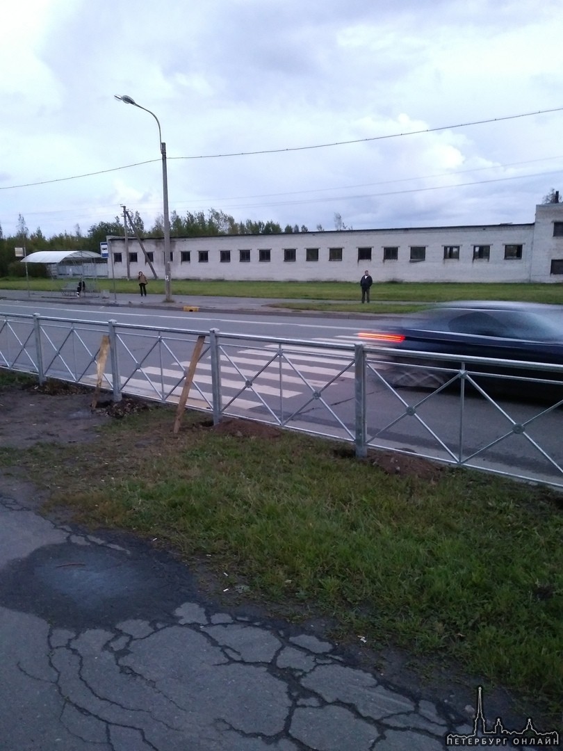 Пешеходный переход с препятствиями в Пушкине на Саперной улице напротив дома 40к4.