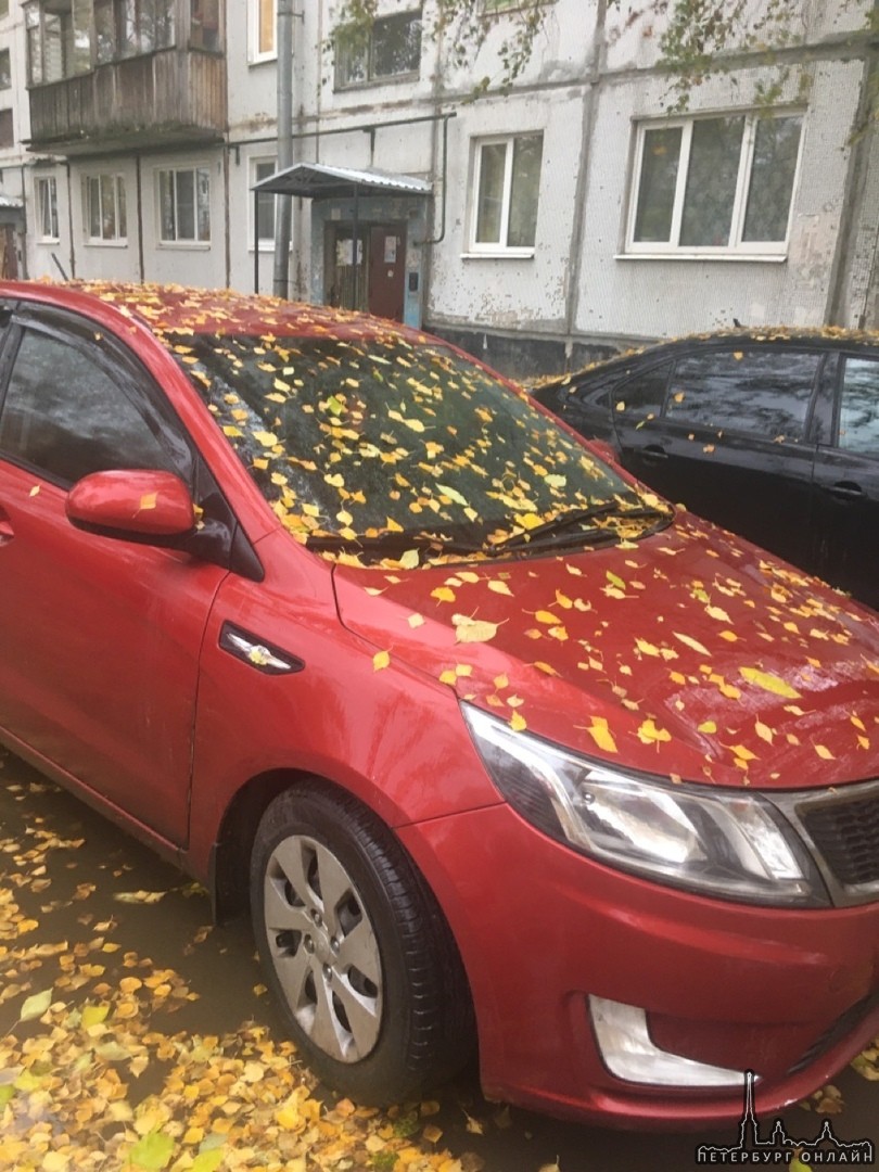 17 октября от университета ЛГУ в городе Пушкине с Петербургского шоссе был угнан автомобиль Kia Rio ...