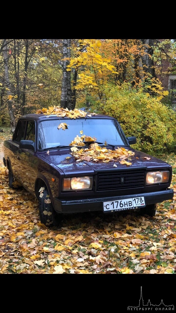 17 октября в +-22-10 со дворе дома 76 на проспекте Ветеранов 76 у друга был угнан автомобиль ВАЗ 210...