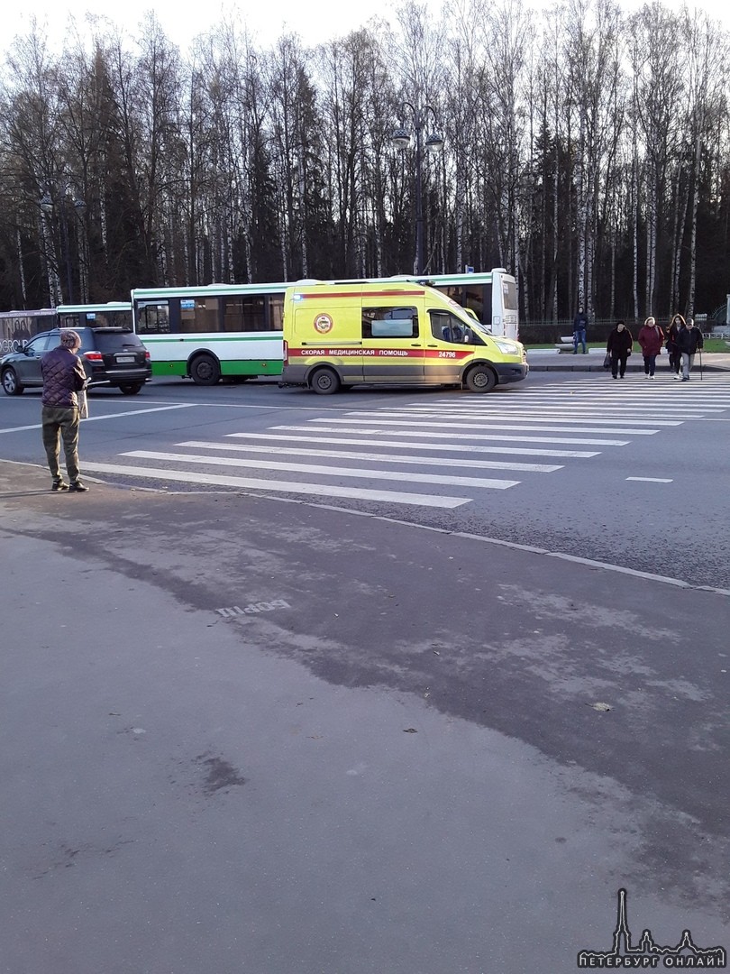 Автобус сбил пешехода. Авария в Павловске СПБ сегодня. Автобусы Павловска СПБ. Автобус сбил девушку на пешеходном переходе Нижний Новгород.