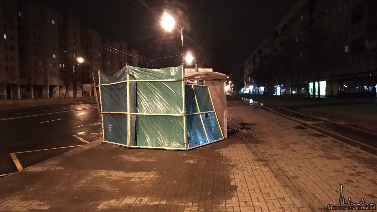 На пересечении проспекта Ветеранов и улицы Пограничника Гарькавого палатка убежала к остановке.
