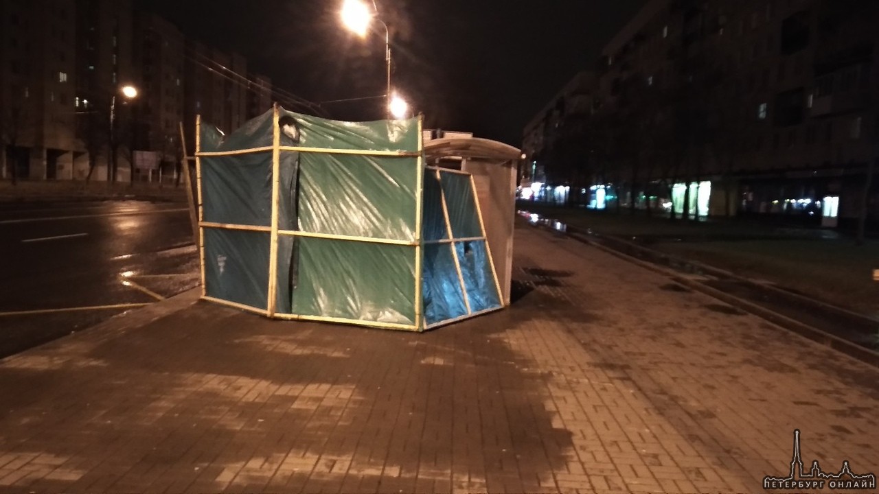 На пересечении проспекта Ветеранов и улицы Пограничника Гарькавого палатка убежала к остановке.