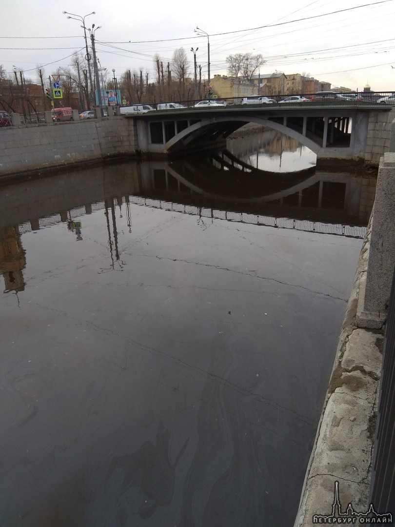 В Обводном канале под Ново-Калинкиным мостом нефтяные разводы, у Балтийской тоже, на Московском есть...