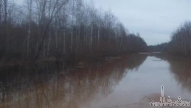 За 10 дней до зимы дороги превратились в реки на востоке Ленинградской области. В Бокситогорском рай...