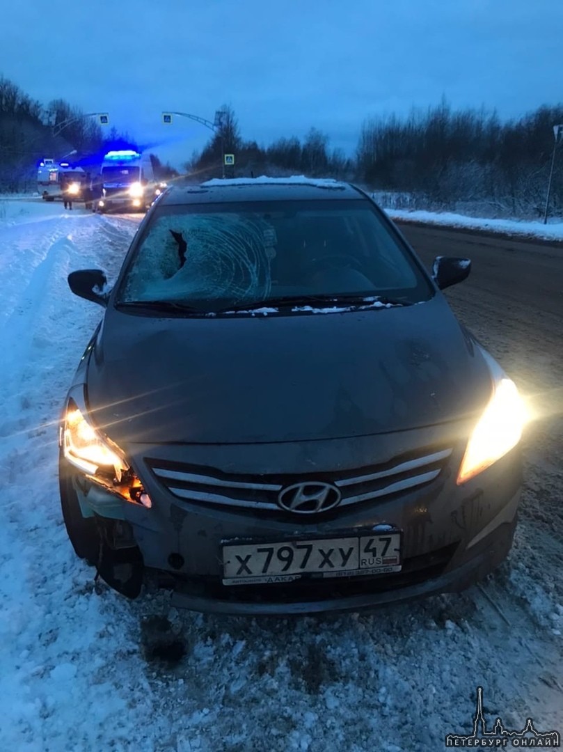Срочно ищем свидетелей наезда на пешехода на 7 км Красносельского шоссе 2 декабря утром в 8:10-8:1...
