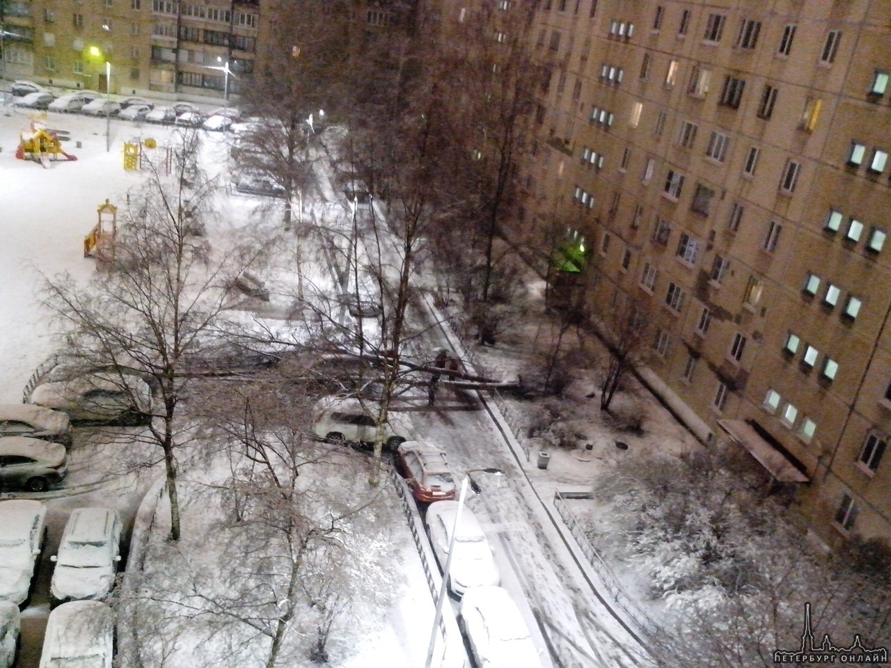 Сегодня в 3 часа ночи на Будапештской ул. 95 корп. 1 во дворе с грохотом упало дерево прямо на автом...
