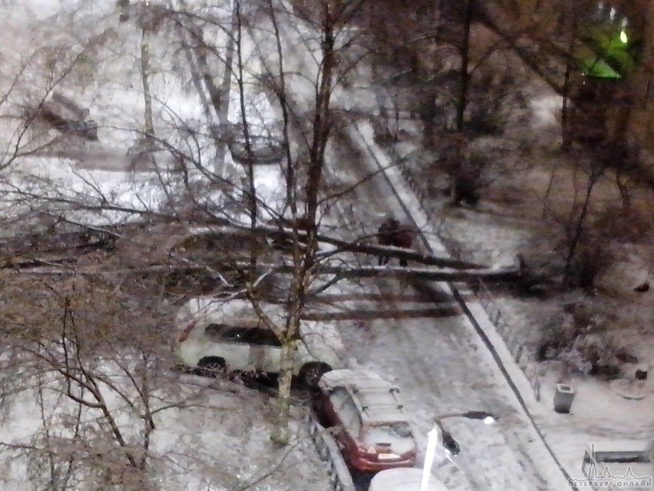 Сегодня в 3 часа ночи на Будапештской ул. 95 корп. 1 во дворе с грохотом упало дерево прямо на автом...