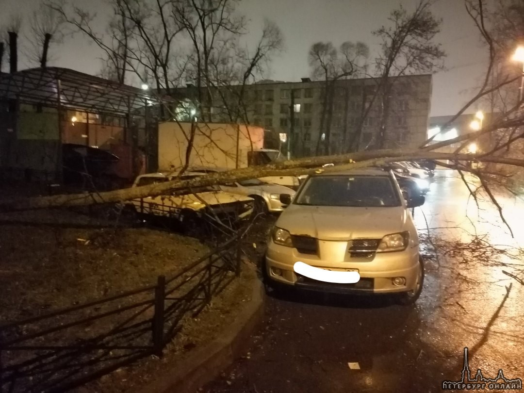 На улице Зины Портновой во время ночного шквала дерево так же упало на машины