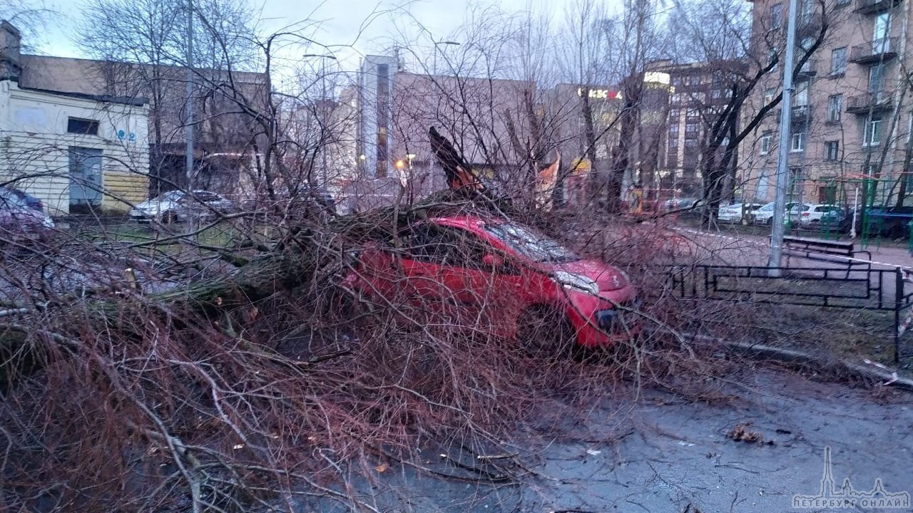 Дерево и ветер не пощадило маленький Citroen у дома 20 по Наличной улице.