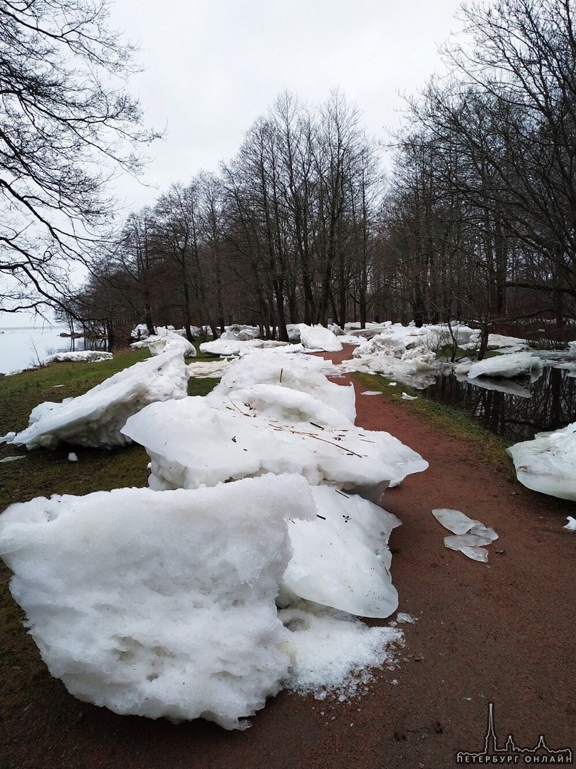 Вот такие глыбы льда появились в сестрорецком парке «Дубки» после наводнения, вызванного штормом. Ка...
