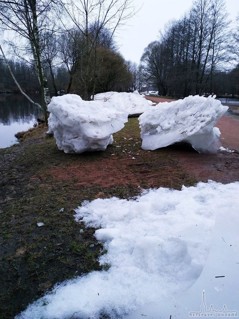 Вот такие глыбы льда появились в сестрорецком парке «Дубки» после наводнения, вызванного штормом. Ка...