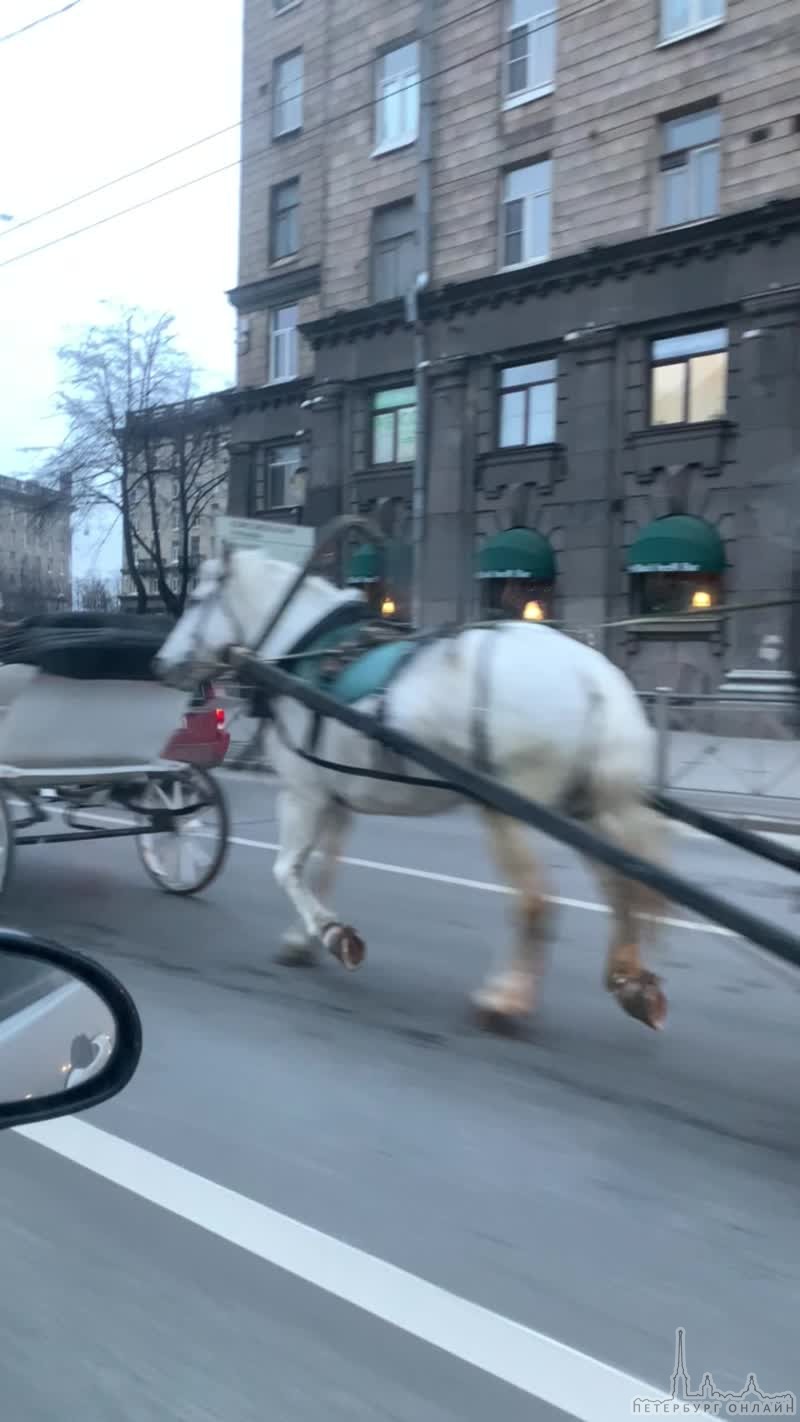 Какой-то новогодний флешмоб с каретами на Комсомольской площади! По дороге скачут нарядные лошадки и...