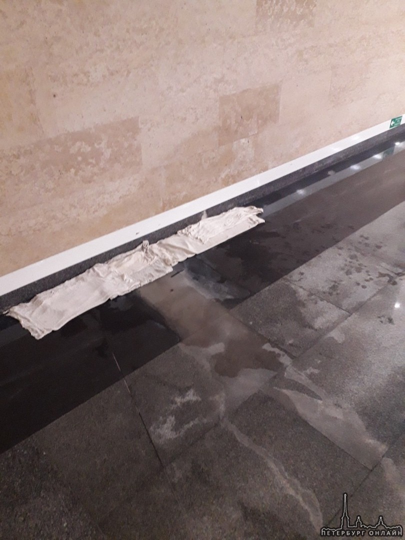 Станция Дунайская продолжает течь. Вода капает с потолка и образовывает подтеки на стенах. Тряпошные...