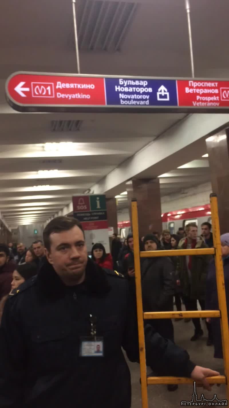 На станции метро Ленинский проспект женщина прыгнула под поезд, чтобы спасти собаку. Все живы.