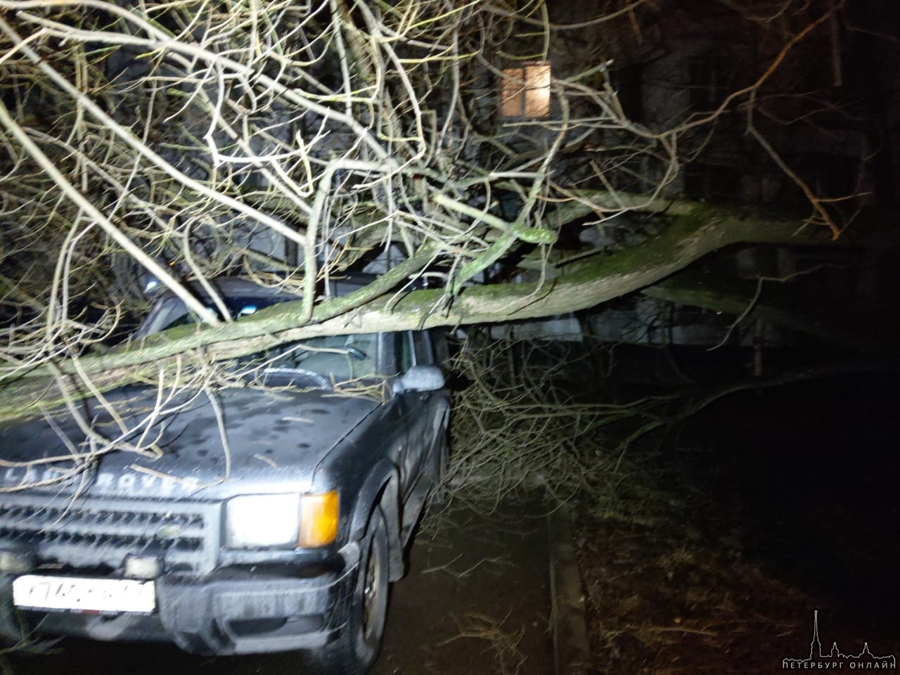Вчера на проспекте Народного Ополчения у дома 93, дерево упало на припаркованные машины.