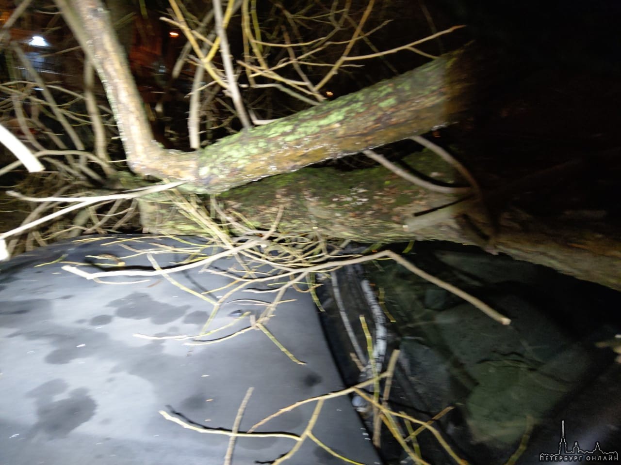 Вчера на проспекте Народного Ополчения у дома 93, дерево упало на припаркованные машины.