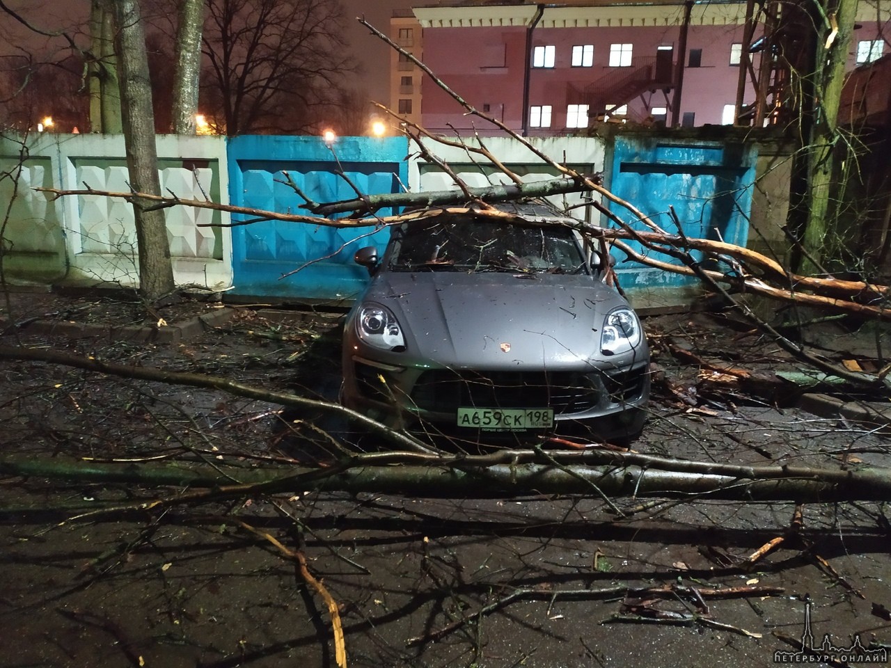 У Ярославских бань на Удельной на Porshe упало дерево.