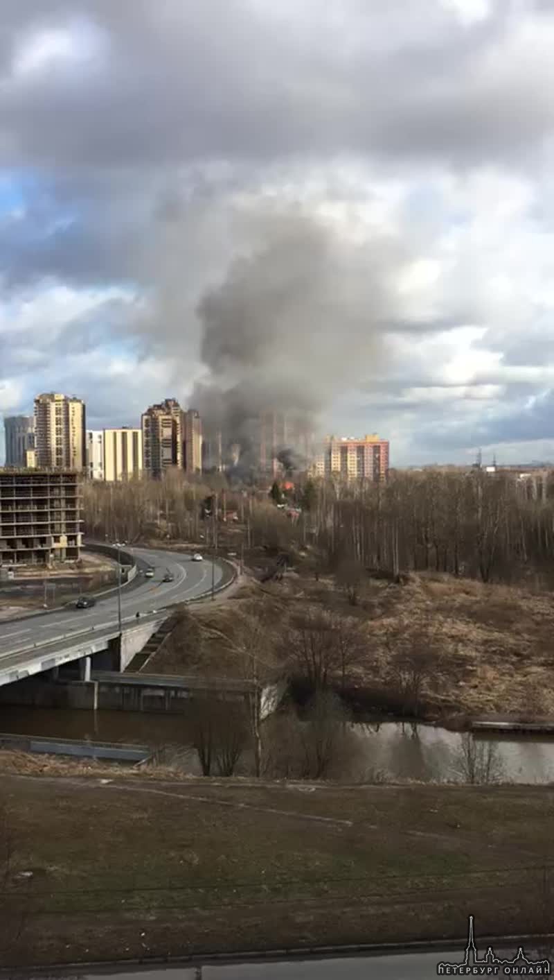 Пожар в Рыбацком на Советском проспекте
