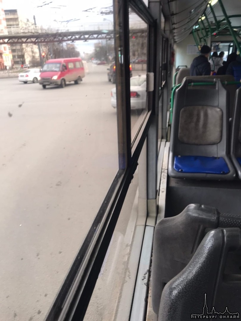 Поло оказался на пути у автобуса на перекрёстке Славы и Будапештской(((