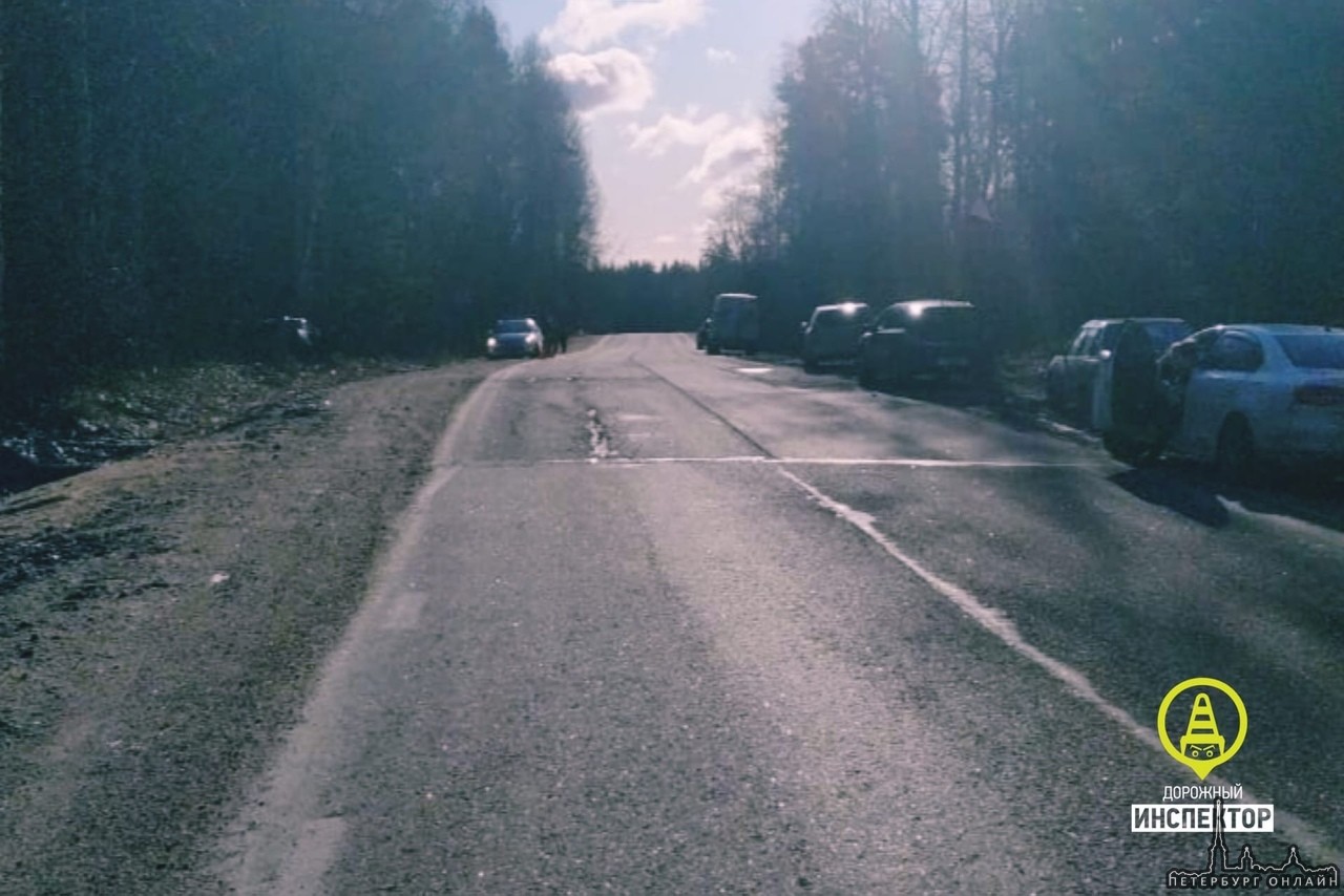 В 8:45 в Выборгском районе Л.О., на 14 км., автодороги Каменногорск-Лесогорский, мужчина 1999 г.р. ...