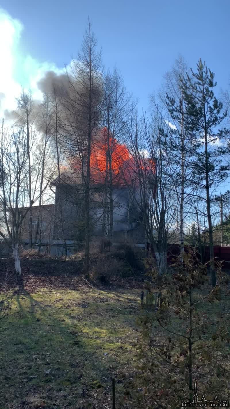В Ям-Ижоре горит дом. Пожарные на месте, но сильный ветер раздувает пламя