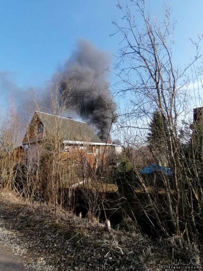 Спустя 30 минут, как уехали хозяева дома в СНТ"Красницы", Гатчинского района загорелся их дом. . По...