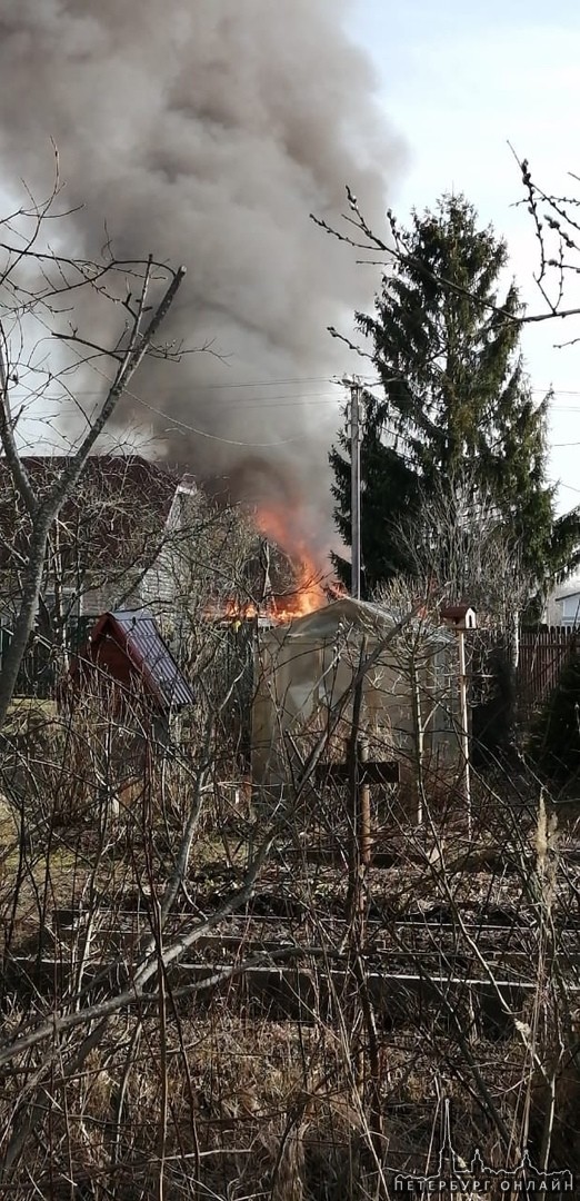 Спустя 30 минут, как уехали хозяева дома в СНТ"Красницы", Гатчинского района загорелся их дом. . По...