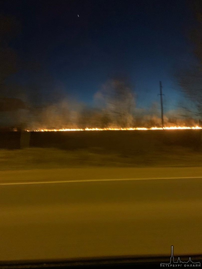 Сжигание травы вышло из под контроля. Огромное пламя через дорогу от Ленты на Петергофском потушили ...