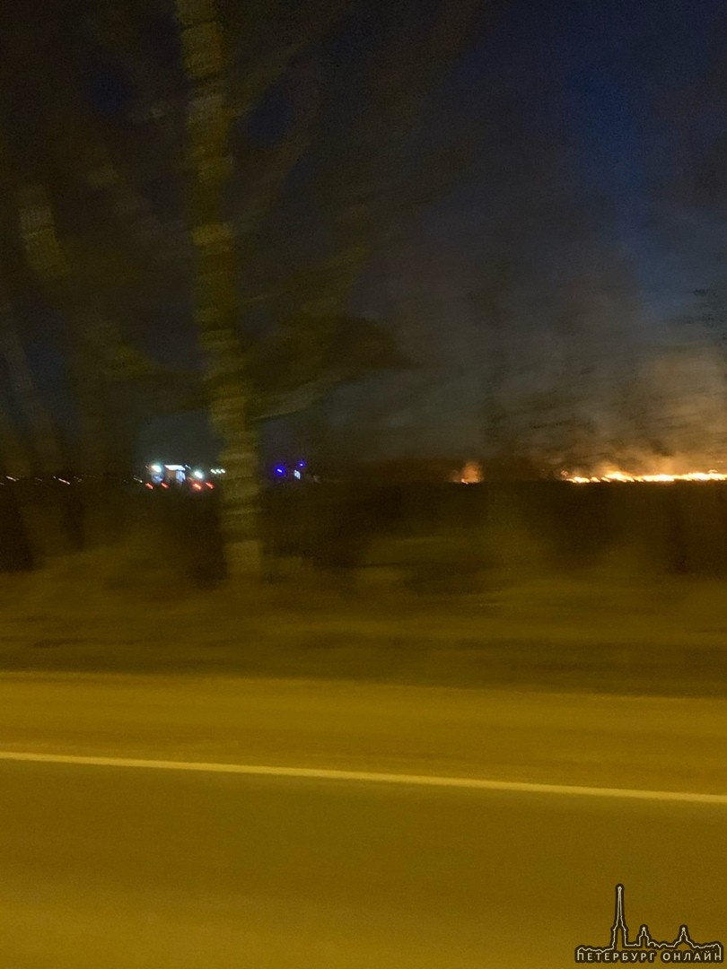 Сжигание травы вышло из под контроля. Огромное пламя через дорогу от Ленты на Петергофском потушили ...