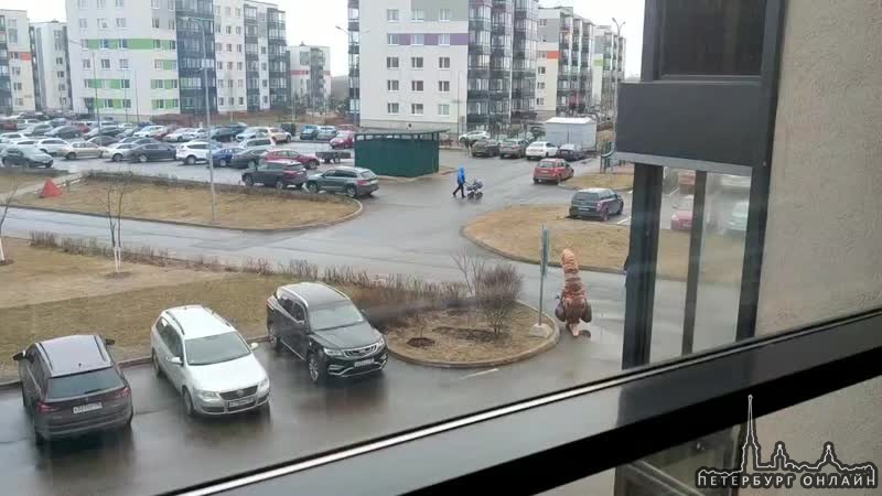 Житель Всеволожска снял на видео, как динозавр выносит мусор